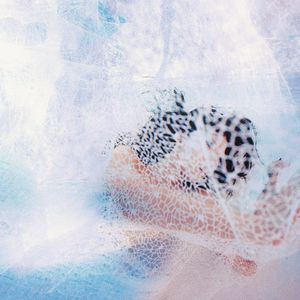 中文字幕日韩欧美最新
